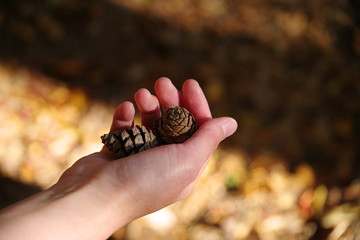 優しさに包まれて