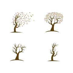 Tree logo template