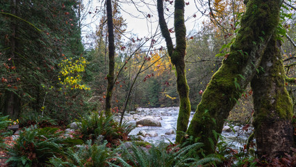 flowing river through the valley