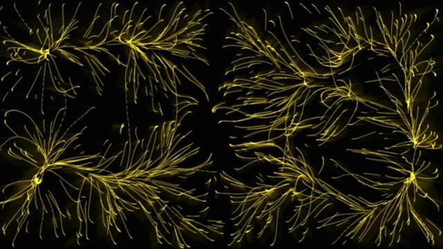 Electromagnetic field particles forming complex network.  Nano Swarm formation  Microbial cells growing  , multiplying , organizing .  3d animation. 