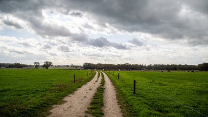 country road between grass meadow of the estate of Twickel, the Netherlands