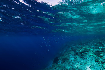 Fototapeta na wymiar Underwater rocks with coral and fish in blue transparent ocean. National park Menjangan island