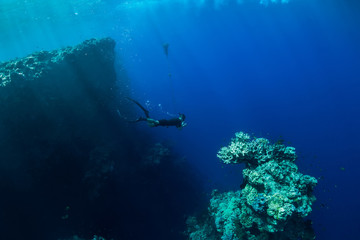 Fototapeta na wymiar Free diver dive in deep ocean, underwater view with rocks and corals. Freediving