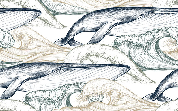 Vector monochrome seamless pattern with ocean waves and whales in sketch style. © natality