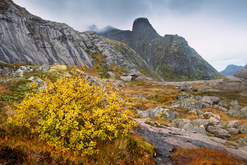 beautiful cliffs above the village of Nusfjord, Norway, Lofoten islands, golden autumn surrounded by colorful mountains