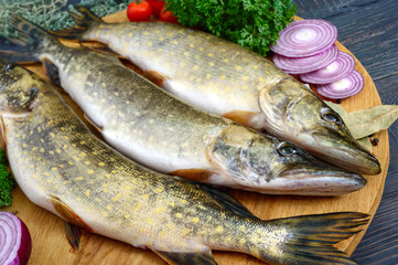 Big raw pikes with vegetables and herbs on a wooden tray. Fresh catch. Dietary product. Ready to cook.
