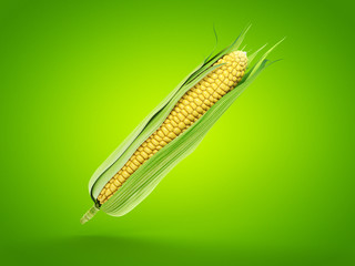3d rendered food illustration of a corncob