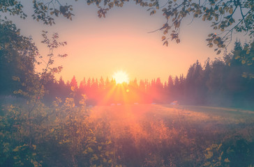 Foggy Summer night sunset view from Sotkamo, Finland.