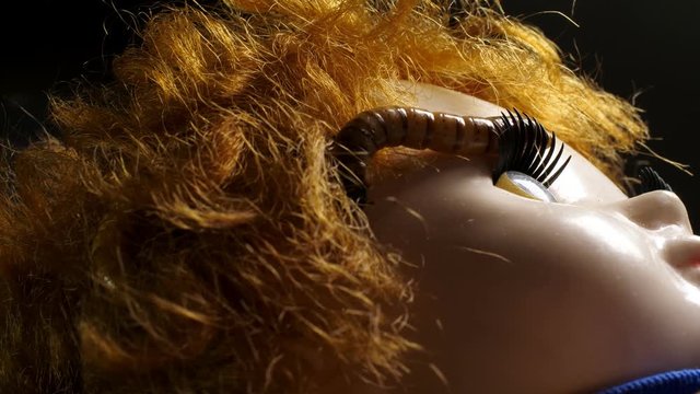 Close up of old retro wicked toy with worm on it. Creeps concept.