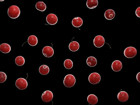 3d rendered food illustration of cranberries