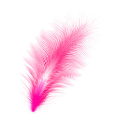 Cute cartoon quill isolated on a white background. Flat style.