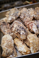 Fresh oysters at fish market 