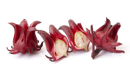 Roselle, Hibiscus sabdariffa red fruit flower on a white background.