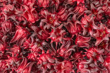 Red roselle, for background and texture. Pile to make the healthy beverage. Selective focus.