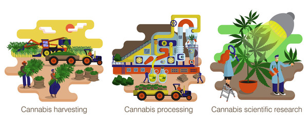 Cannabis, hemp production. Process and manufacturing stages. Illustration set. Equipment, workers, tools and transport. Eco product. Set of isolated icon on white background. Flat cartoon vector 