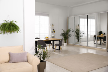 Stylish room interior with green plants. Home decoration