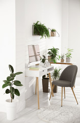 Modern workplace in room decorated with green potted plants. Home design