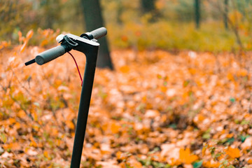 The handlebar of black electric scooter in the autumn's park. Speed ​​thumb. Camera focus on...