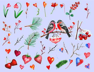 Watercolor romantic illustration big set of design elements for Valentine’s day. Hearts. Beloved bullfinches. Cute birds. 