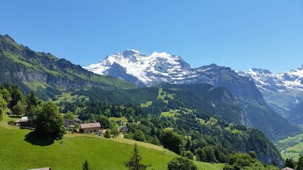 Fototapeta na wymiar Beautiful scenery in summer time at Switzerland.