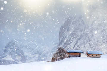 Beautiful Winter at Alpe di Siusi, Seiser Alm - Italy - Holiday background for Christmas. 