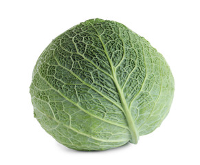 Fototapeta premium Fresh ripe savoy cabbage isolated on white
