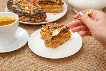 Female hand holding a fork and going to taste homemade chocolate cake