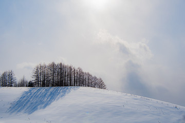 雪影美瑛