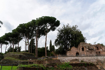 Imperial forums in rome on cloudy day