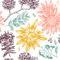 Exotic plants garden seamless pattern. With vintage flowers, evergreen, flowering plants. Vector design with hand drawn botanical elements.  For wrapping paper, greeting cards, banners, packaging. - obrazy, fototapety, plakaty