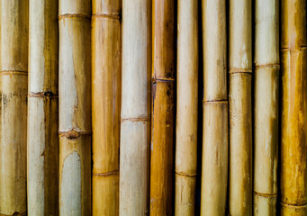 Bamboo patterned curtain textured backdrop background