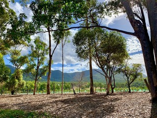 Hunter Valley NSW Australia Wine Region Arial Views