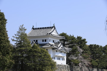 名古屋城の隅櫓　隅櫓　桜と隅櫓　名古屋城