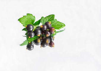 blackcurrant berries decorated with green leaves on a mirror surface