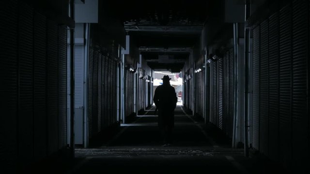 Silhouette of man with hat and coat walking at dark corridor of adorned place 