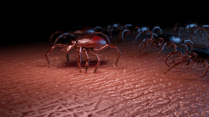 3d rendered illustration of a group of ticks crawling on human skin