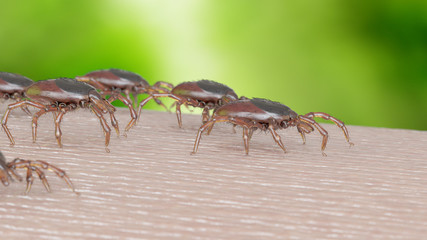 3d rendered illustration of a group of ticks crawling on human skin