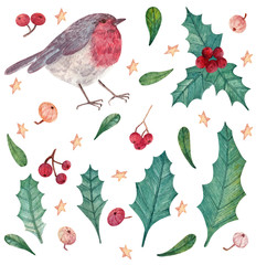 Hand-drawn watercolor Christmas set with robin, holly and berries. Set of watercolor elements for stickers, background, card design and other purposes.