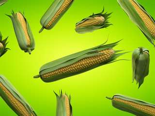 3d rendered food illustration  of corncobs