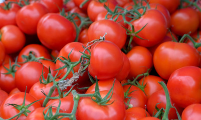Freshly picked red cherry tomatoes on a counter of farmer's market. Healthy food wallpaper. Bright ripe fresh red tomatoes background. Healthy food. Organic vegan food.