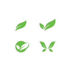 Eco Tree Leaf Logo Template design 
