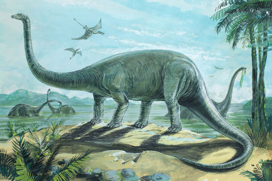 DIPLODOCUS. One of the longest of all dinosaurs, some reaching a length of 90ft (27m). Background: Rhamphorhynchus. Jurassic, about 170 - 135 million years ago. *No. 4 in a series of eight.* 