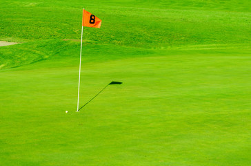 Obraz premium golf ball on a tee