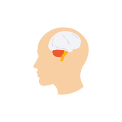 Esophagus Vector Flat Icon