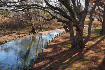 秋の水元公園