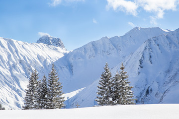 Fototapeta na wymiar Lot of snow on the mountains and pine trees in Kleinwalsertal in Austria