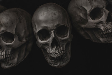 human skull on black background