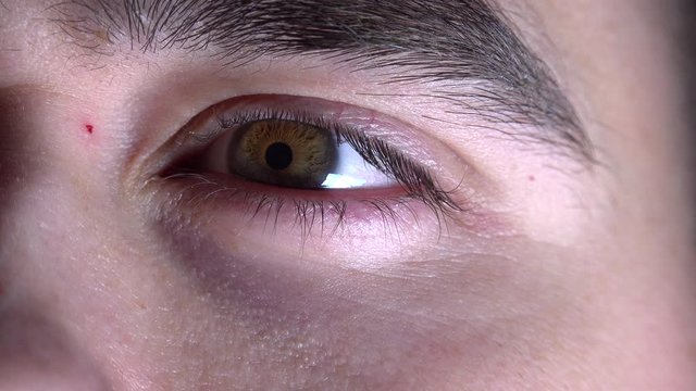 Eye pupil react to light