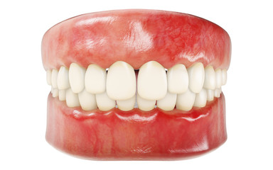 3d rendering of human teeth. Medically accurate tooth 3D illustration