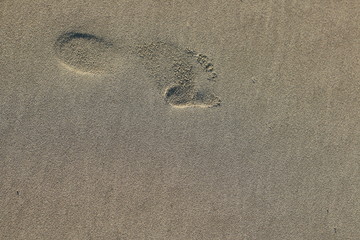 foot prints in the sand on a sunny beach, natural summer textures and patterns, peaceful beach atmosphere